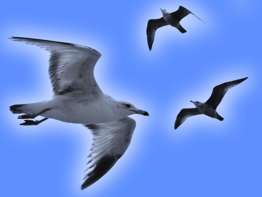 607770 (a): :1600x1200
